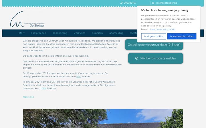 Screenshot of desteijger.be