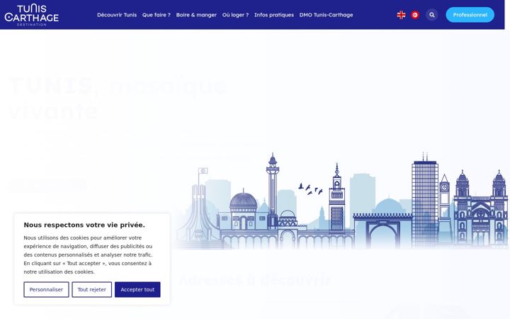 Screenshot of destination-tunis-carthage.com