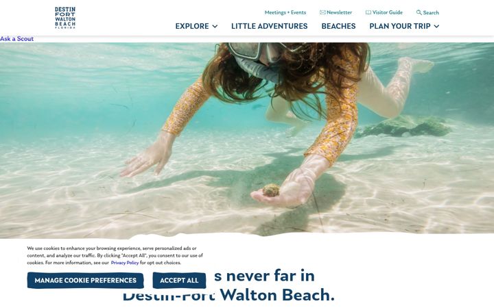 Screenshot of destinfwb.com