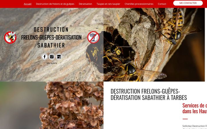 Screenshot of destructionfrelonderatisation65.fr