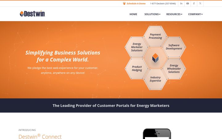 Screenshot of destwin.com