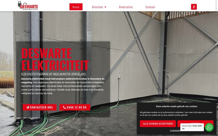 Screenshot of deswarteelektriciteit.com