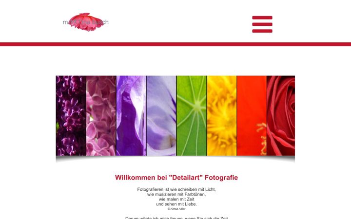 Screenshot of detailart.de