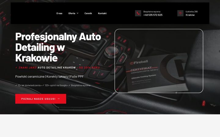 Screenshot ta' detailingownia.pl