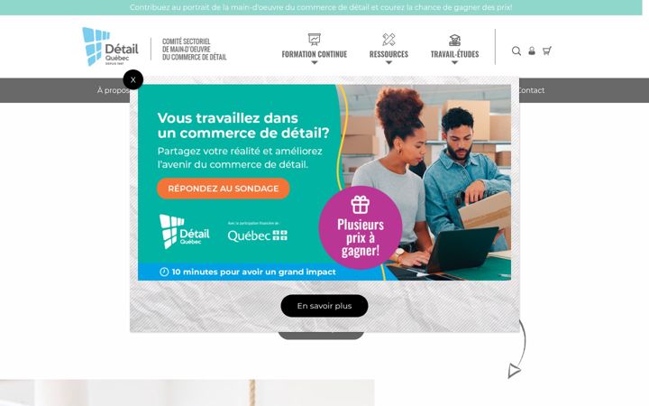 Screenshot of detailquebec.com