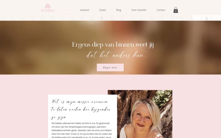 Képernyőkép: detangle.nl