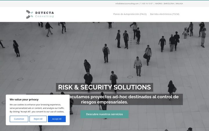 Screenshot of detectaconsulting.com