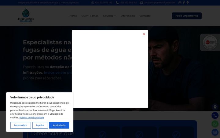 Screenshot of detectafugas.com