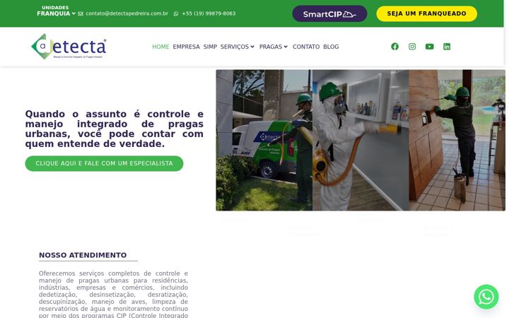 Screenshot van detectapedreira.com.br