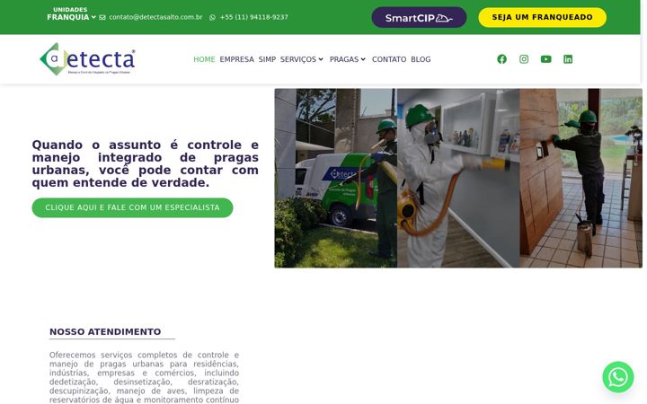 Zrzut ekranu detectasalto.com.br