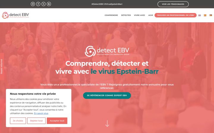 Ekrano kopija detectebv.org