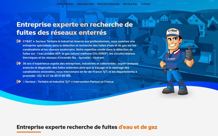 Ekraanipilt saidist detection-fuite-expert.fr