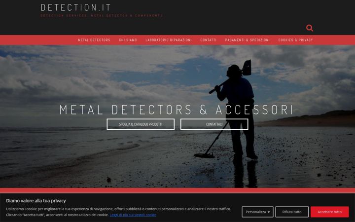 Screenshot of detection.it