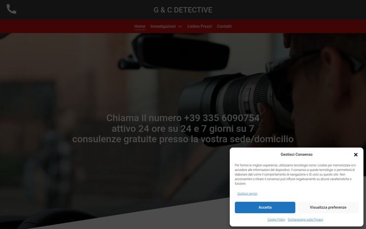 Screenshot of detectivegec.com