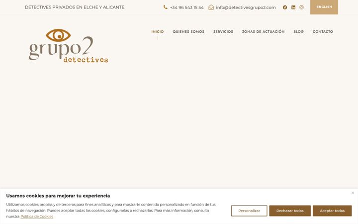 Screenshot of detectivesgrupo2.com
