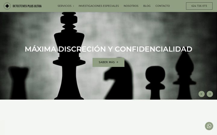 Screenshot of detectivesplusultra.com