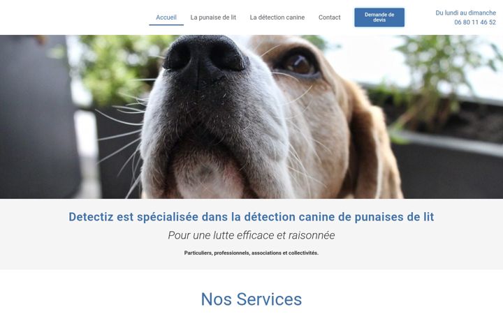 Screenshot του detectiz.fr