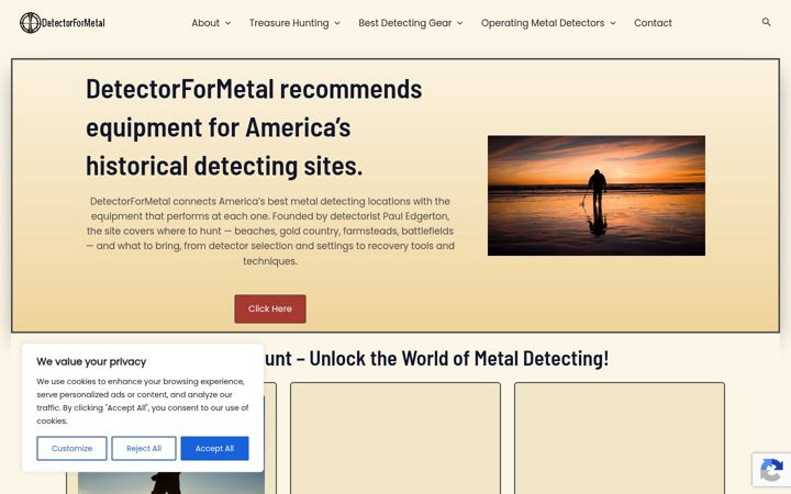 Screenshot of detectorformetal.com