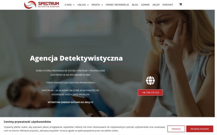 Snímek obrazovky detektywnowicki.pl