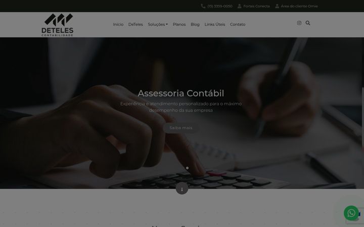 Zrzut ekranu deteles.com.br
