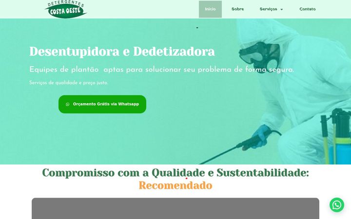 Zrzut ekranu detergentescostaoeste.com.br