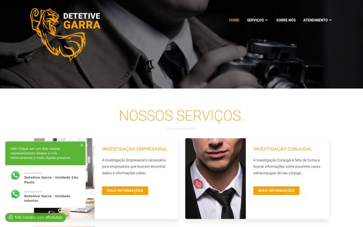 Zrzut ekranu detetivegarra.com.br