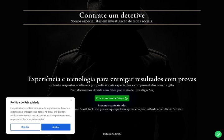 Zrzut ekranu detetiveredessociais.com.br