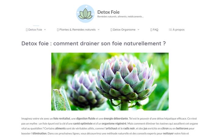 Screenshot of detox-foie.com