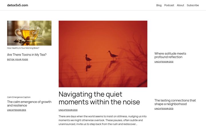 Screenshot of detox5x5.com