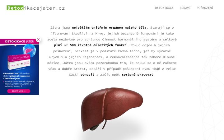 Screenshot of detoxikacejater.cz