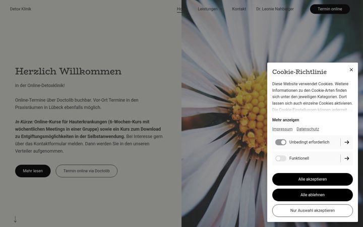 Screenshot of detoxklinik.eu