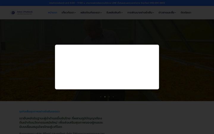 Screenshot of detoxth.com