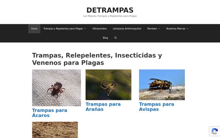Screenshot of detrampas.com