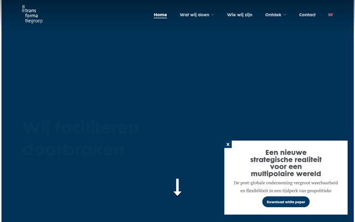 Screenshot of detransformatiegroep.nl