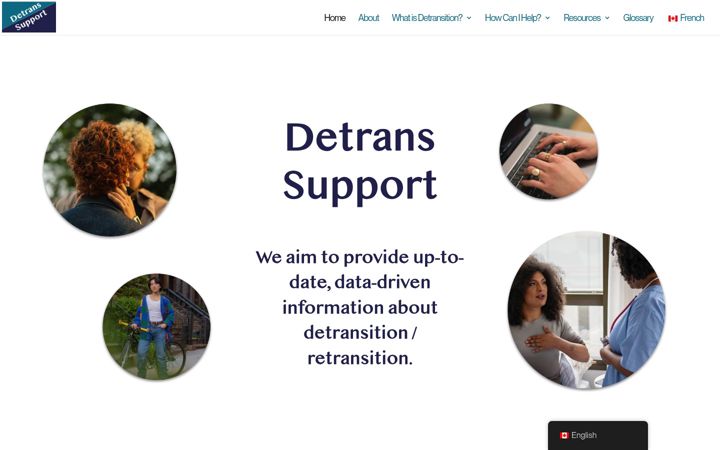 Screenshot of detransinfo.com