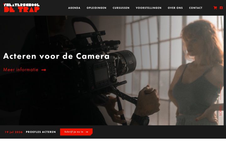 Képernyőkép: detrap.nl
