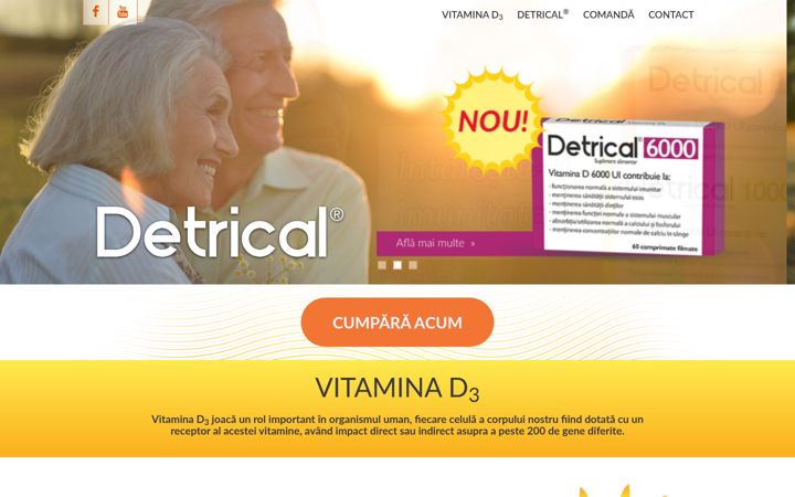 Screenshot of detrical.ro
