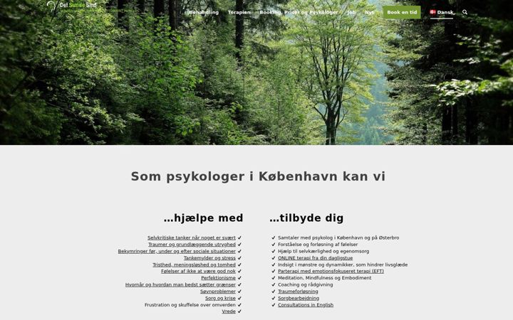 Skjermbilde av detsundesind.dk