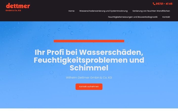 Posnetek zaslona dettmer-pollhagen.de