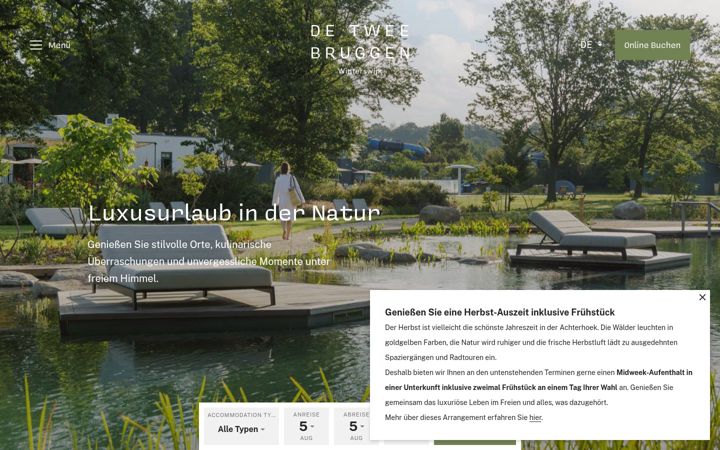 Screenshot of detweebruggen.de
