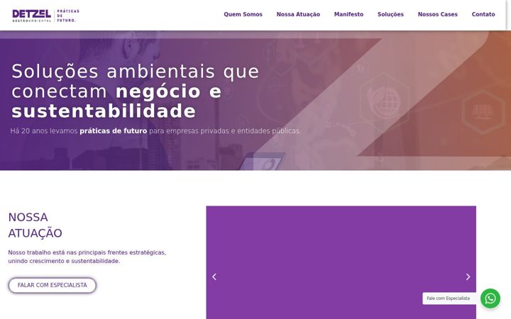 Zrzut ekranu detzel.com.br