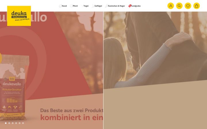Screenshot of deuka-companion.com