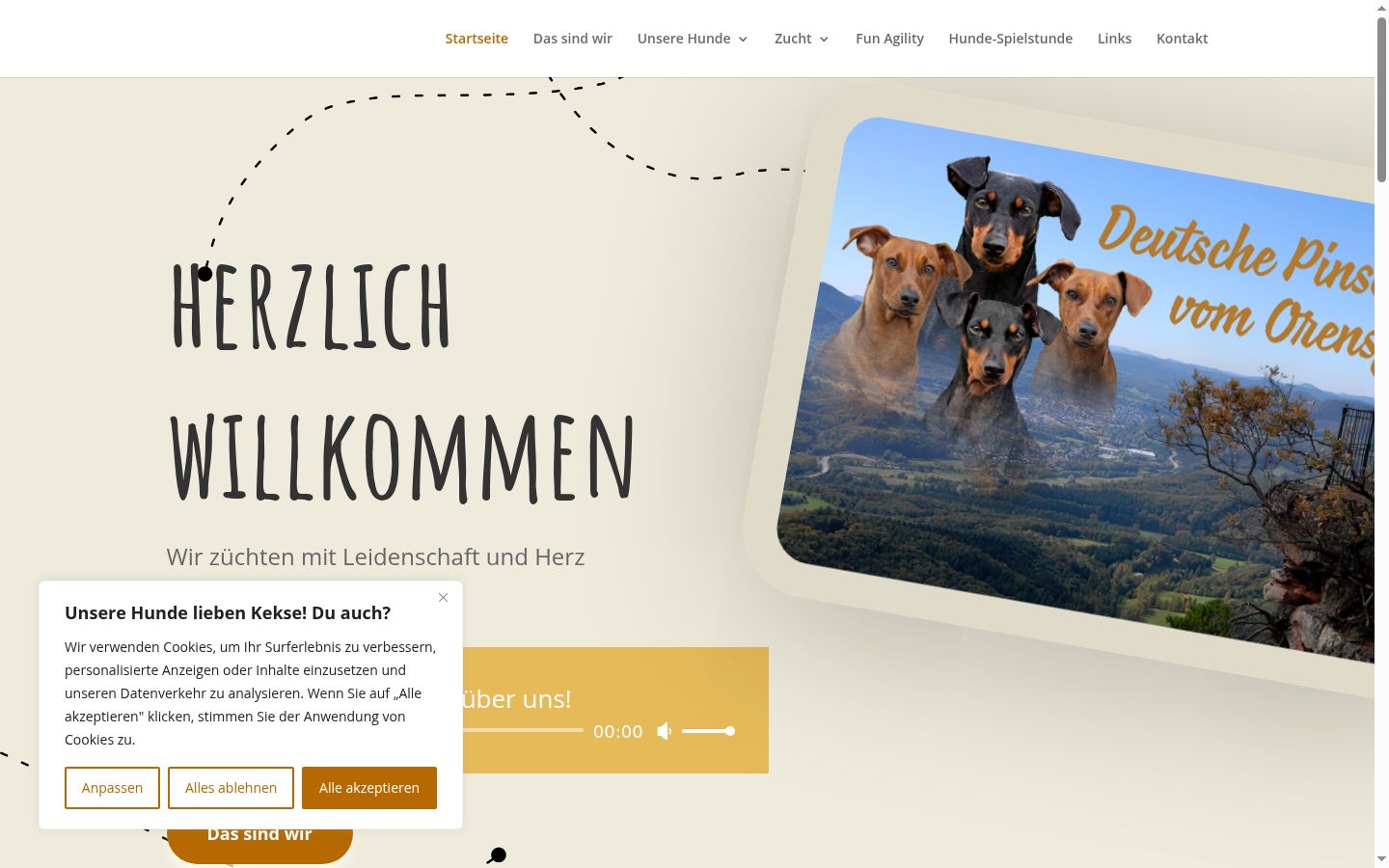 Sutikimo reklamjuostės, rodytos prieš bet kokią sąveiką, ekrano kopija