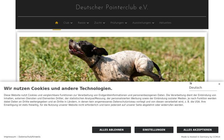 Captură de ecran a deutscher-pointerclub.de