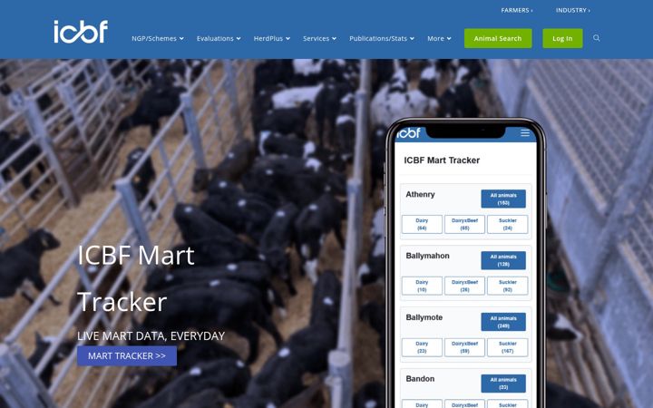 Screenshot of dev-icbf.com