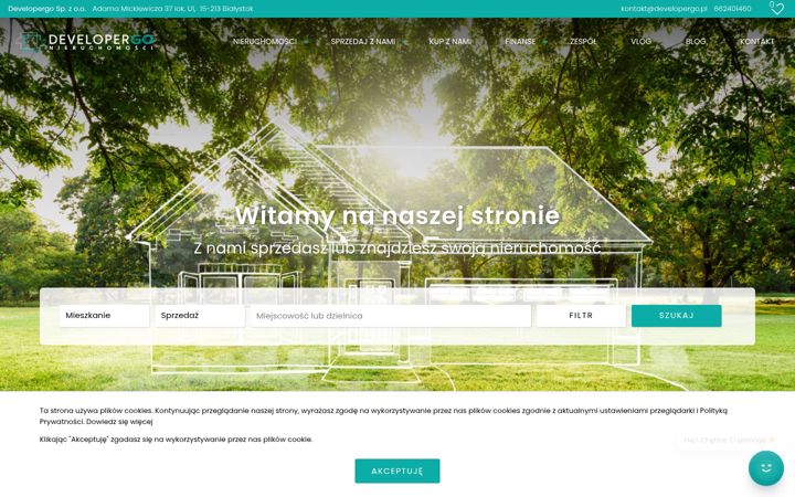 Screenshot ta' developergo.pl