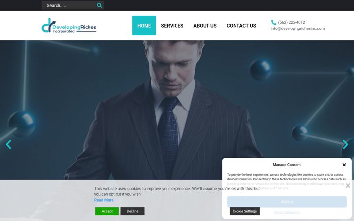 Screenshot of developingrichesinc.com
