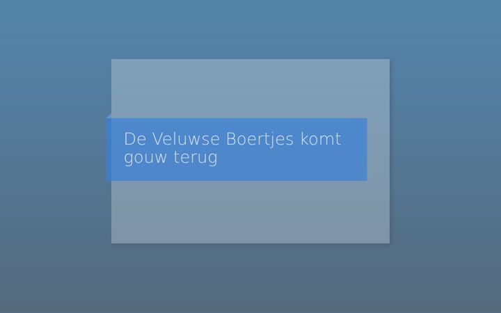 Screenshot of develuwseboertjes.nl
