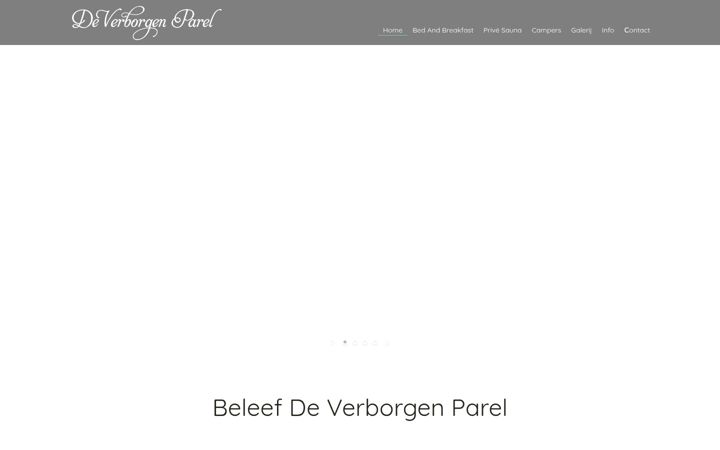 Screenshot of deverborgenparel.be