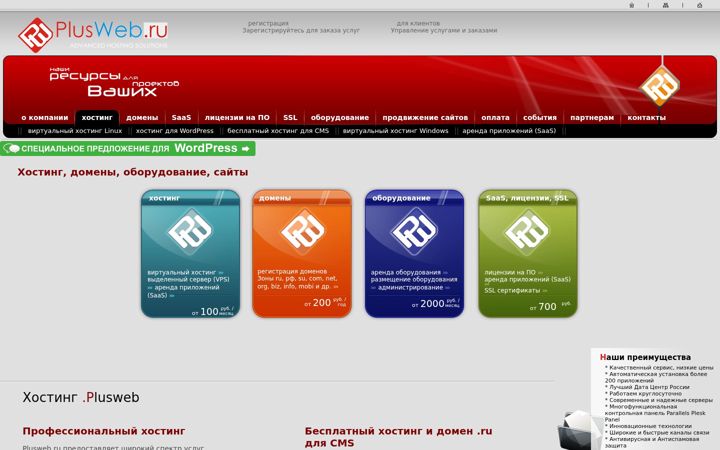 Zrzut ekranu devhosting.ru